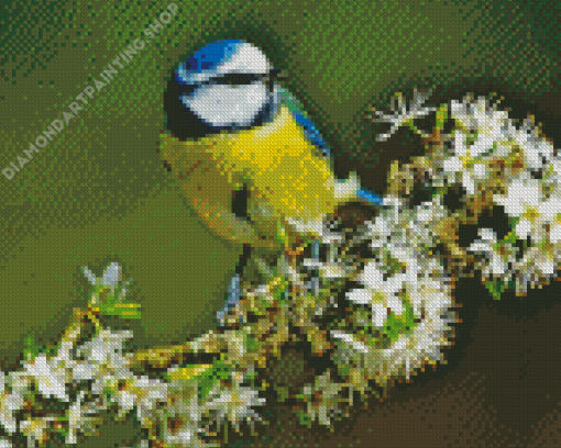 Blue Tit Bird Diamond Painting