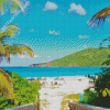 Aesthetic Flamenco Beach Diamond Painting