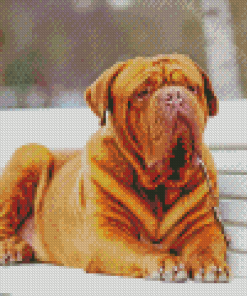 Aesthetic French Mastiff Diamond Painting