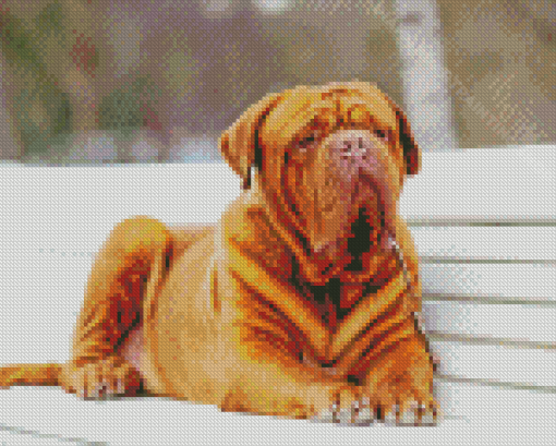 Aesthetic French Mastiff Diamond Painting