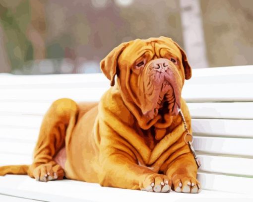 Aesthetic French Mastiff Diamond Painting