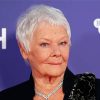 Aesthetic Judi Dench Diamond Painting