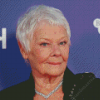 Aesthetic Judi Dench Diamond Painting