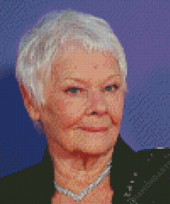 Aesthetic Judi Dench Diamond Painting