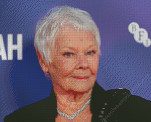 Aesthetic Judi Dench Diamond Painting