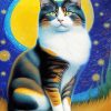 Aesthetic Starry Night Cat Diamond Painting