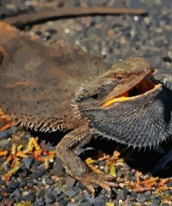 Black Bearded Dragon Diamond Painting