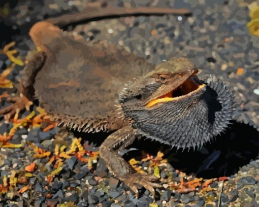 Black Bearded Dragon Diamond Painting