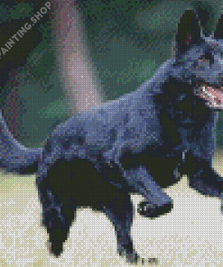 Black German Shepherd Dog Diamond Painting