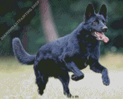 Black German Shepherd Dog Diamond Painting