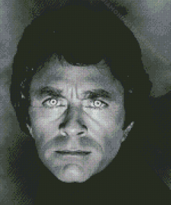 Black And White Bill Bixby Diamond Painting