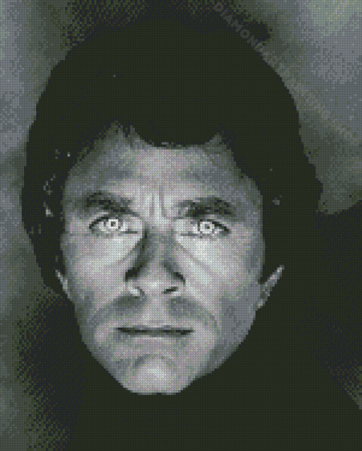 Black And White Bill Bixby Diamond Painting