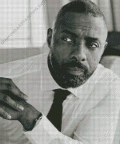 Black And White Idris Elba Diamond Painting