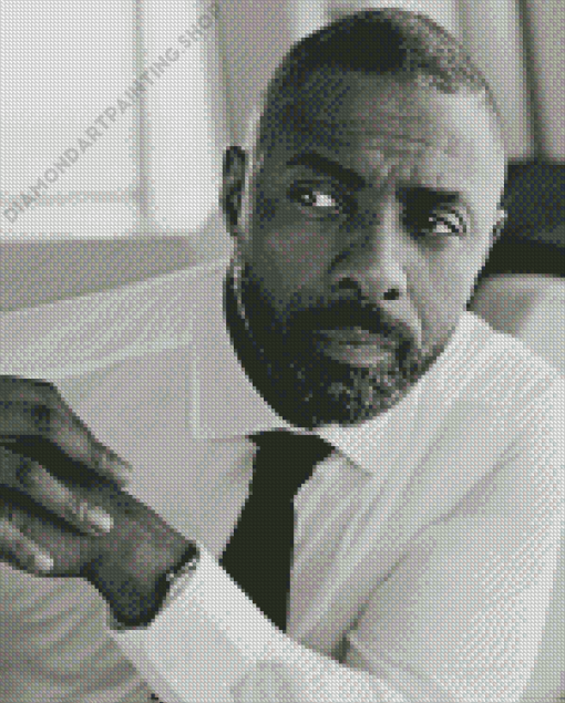 Black And White Idris Elba Diamond Painting