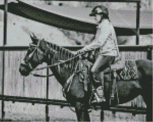 Black And White Western Cowgirl With Horse Diamond Painting