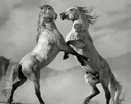 Black And White Mustangs Horses Fighting Diamond Painting