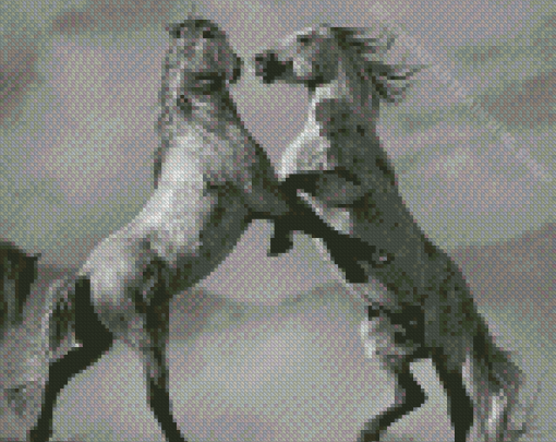 Black And White Mustangs Horses Fighting Diamond Painting