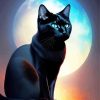 Black Cat And Full Moon Diamond Painting