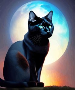 Black Cat And Full Moon Diamond Painting