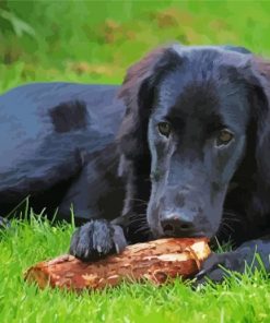 Black Golden Retriever Sitting Diamond Painting