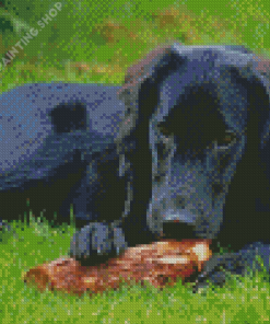 Black Golden Retriever Sitting Diamond Painting