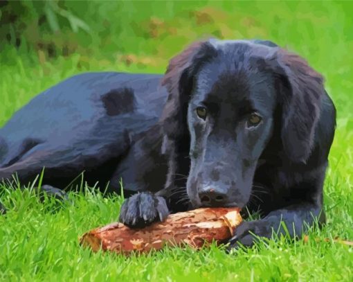 Black Golden Retriever Sitting Diamond Painting