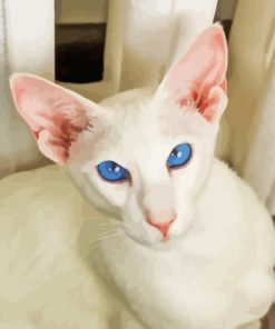 Blue Eyed Oriental Cat Diamond Painting