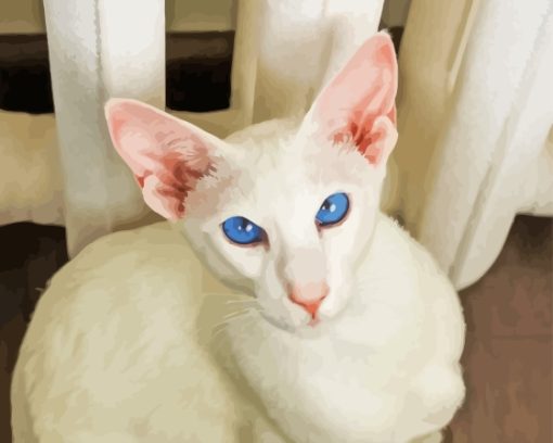 Blue Eyed Oriental Cat Diamond Painting