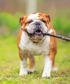 Bulldogs Playing With Tree Branch Diamond Painting