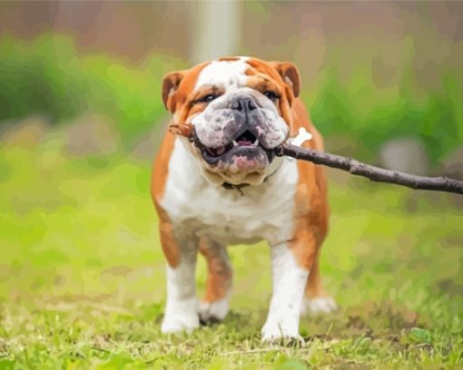 Bulldogs Playing With Tree Branch Diamond Painting