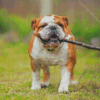 Bulldogs Playing With Tree Branch Diamond Painting