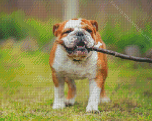 Bulldogs Playing With Tree Branch Diamond Painting