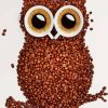 Coffee Bean Owl Bird Diamond Painting