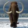 Cool Mammoth Diamond Painting