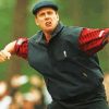 Cool Payne Stewart Diamond Painting