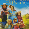 Cool Little House On Prairie Diamond Painting