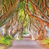 The Dark Hedges In Northern Ireland For Diamond Painting