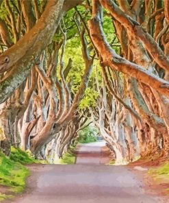 The Dark Hedges In Northern Ireland For Diamond Painting