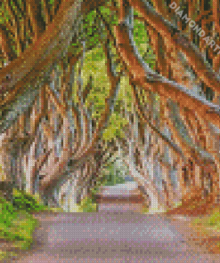 The Dark Hedges In Northern Ireland For Diamond Painting