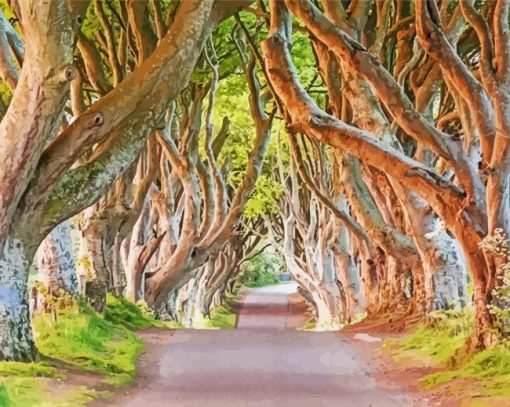 The Dark Hedges In Northern Ireland For Diamond Painting