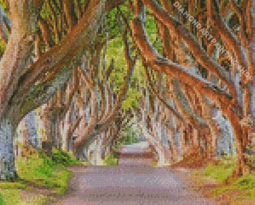 The Dark Hedges In Northern Ireland For Diamond Painting