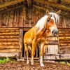 Haflinger Horse Diamond Painting