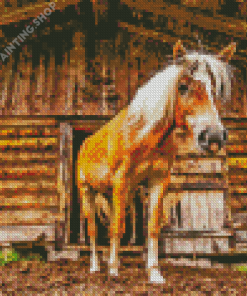 Haflinger Horse Diamond Painting