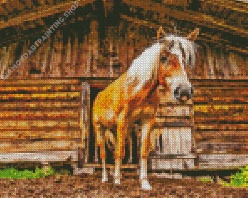 Haflinger Horse Diamond Painting