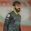 Handsome Alisson Becker Diamond Painting