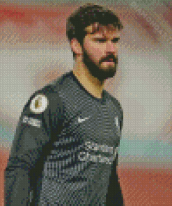 Handsome Alisson Becker Diamond Painting