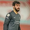 Handsome Alisson Becker Diamond Painting