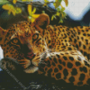 Leopard In Tree Animal Diamond Painting