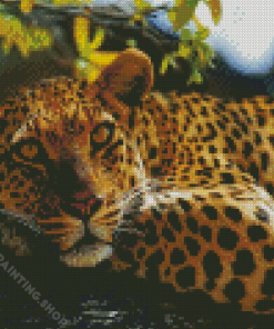 Leopard In Tree Animal Diamond Painting