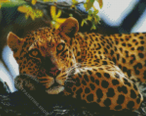 Leopard In Tree Animal Diamond Painting